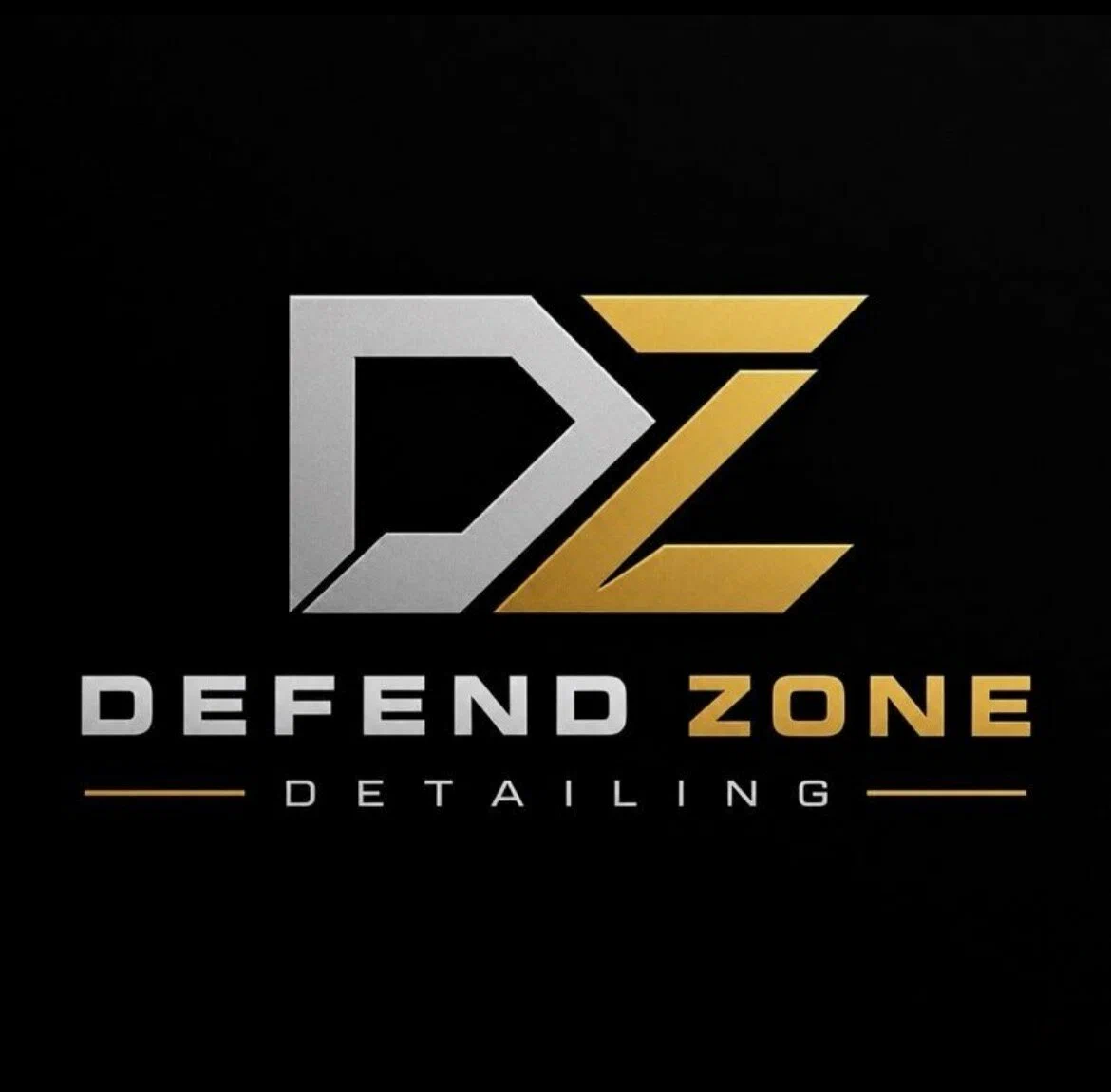 Логотип Defend Zone
